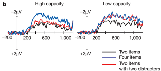 working memory capacity high and low