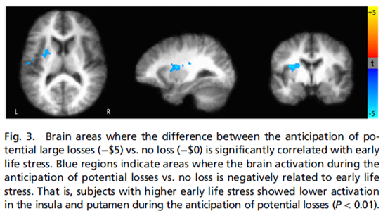early child stress and reward brain