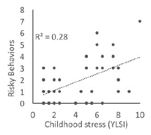 childhood stress and risky behavior