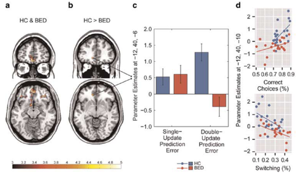 flexible decision making brain and prefrontal cortex 2