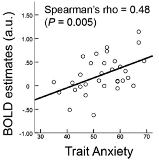 correlation of anxiety and reward brain area