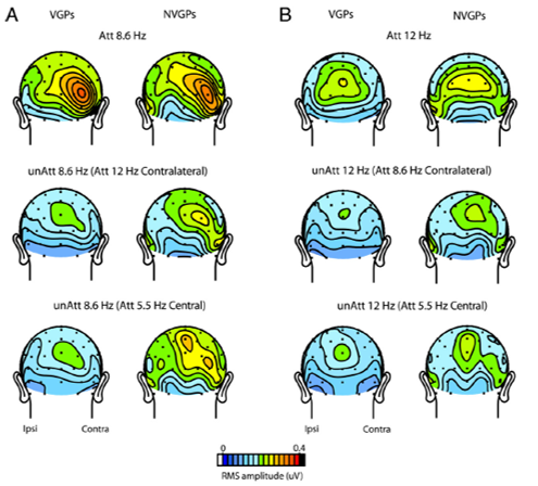 EEG in attention expertise