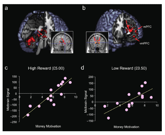 choking and reward and prefrontal cortex