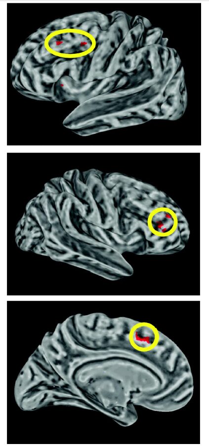 choking and motor cortex and prefrontal cortex