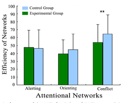 mindfullness and attention task