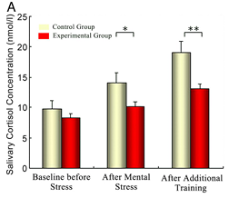 mindfullness and stress