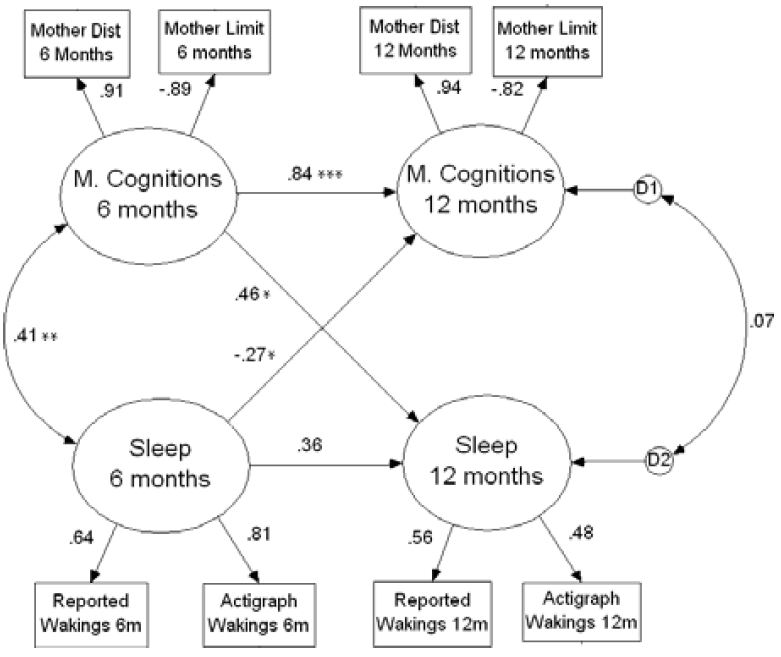 maternai cognition and infant night crying