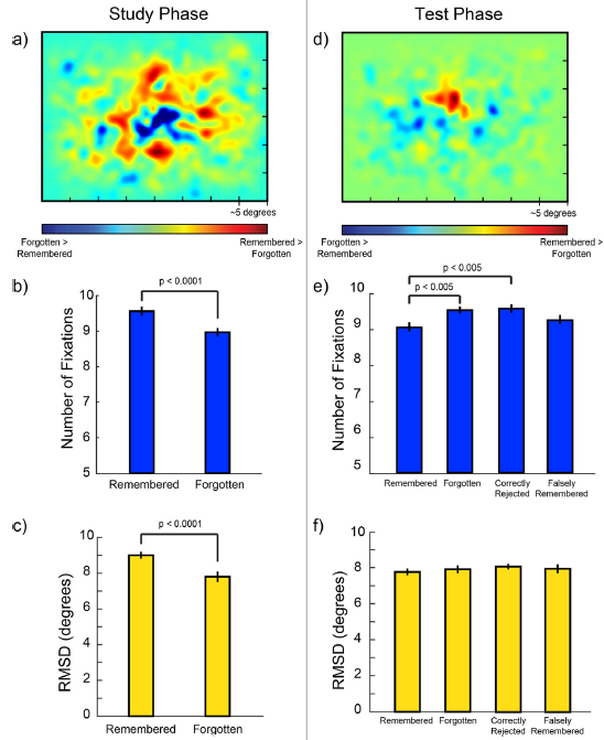 eye movements predict whether to remember or forget