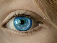 eye movements and memory