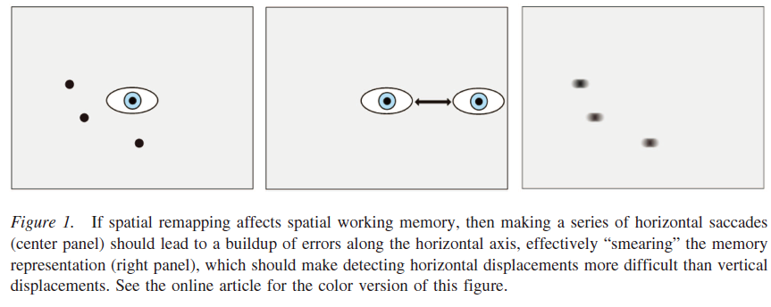 eye movement smear fear memory example