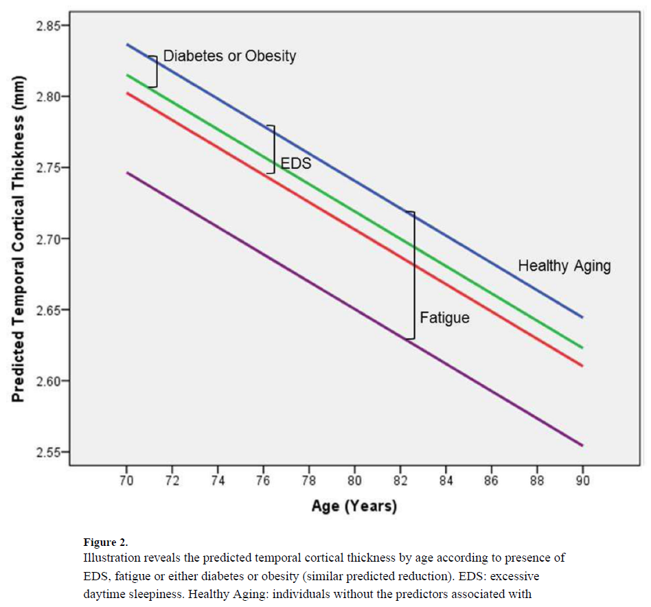 older adalts' fatigue impacts on brain structure